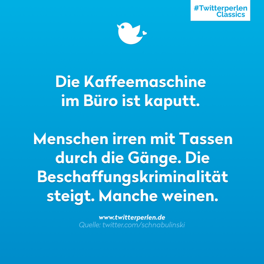 freierPirat 🏴‍☠️ tweet media