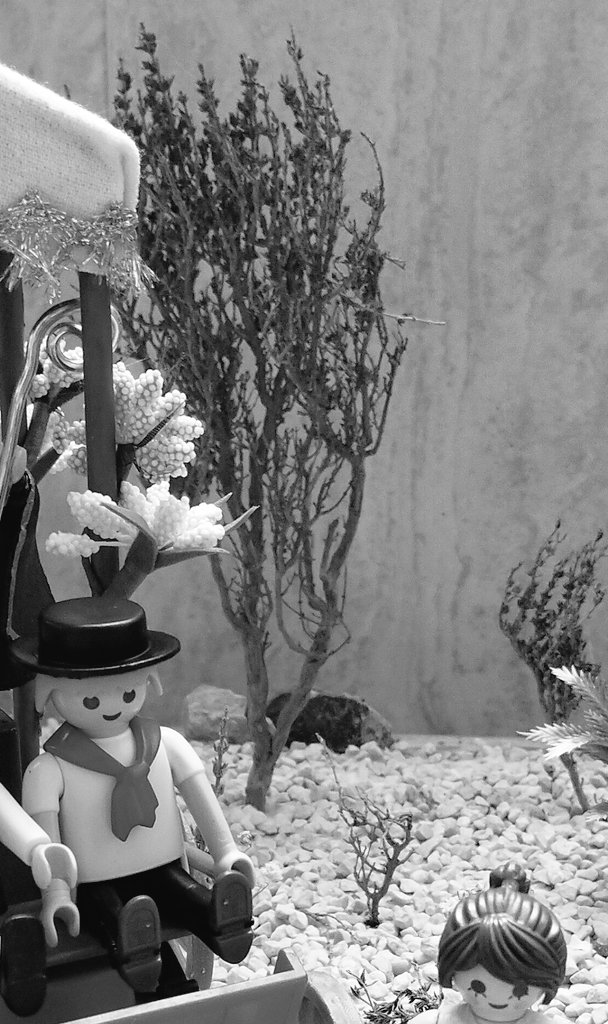 PlaymoCT tweet media