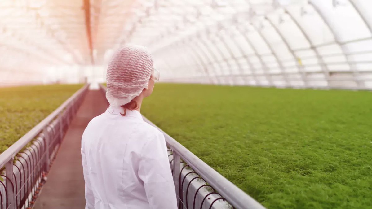 poljourno's tweet photo. The next 30 years will determine the fate of our planet. Whether we succeed or fail will depend – in large part – on how we produce, process and consume food. Learn more from @NEOM's Head of Food Dr Juan Carlos Motamayor #NEOM https://t.co/czWv2vEOFh https://t.co/Ftck6AWsDX