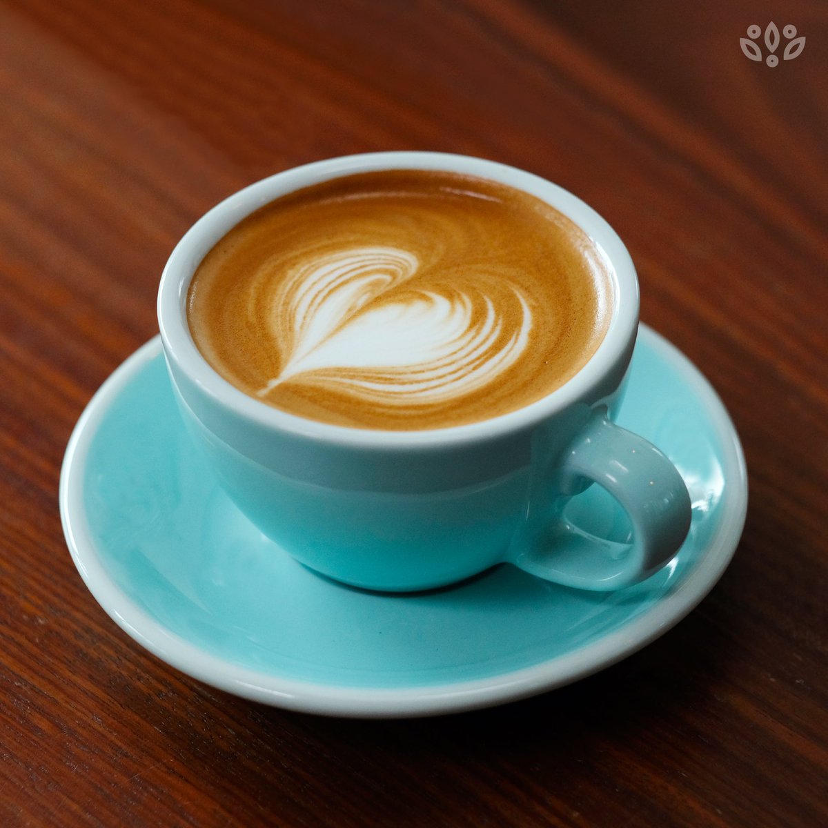 caoua_sa's tweet photo. القهوه أولاً وبعدها نستوعب الحياة ☕️👀
منشن صديقك اللي ما يستوعب أي شي إلا بعد ما يتقهوى؟ 

#كاوا_كافيه https://t.co/f4dOy9rNlc