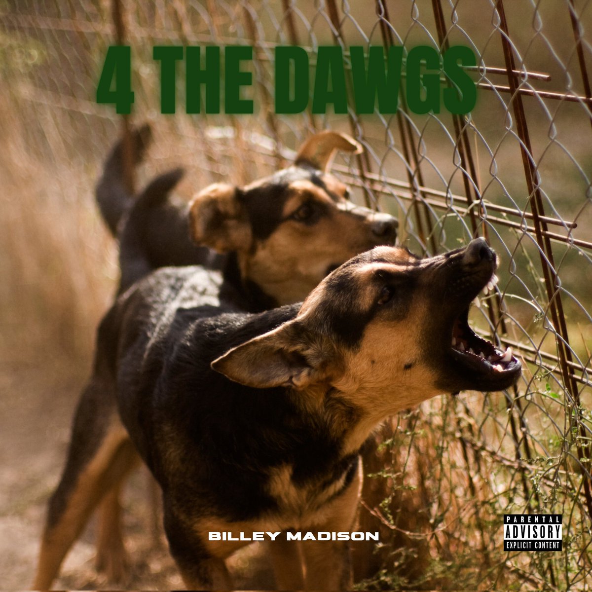 BilleyMadison's tweet photo. New Single "4 The Dawgs" Available On All Platforms‼️ https://t.co/OnRPzqkBSa