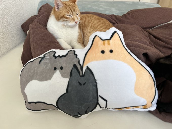 おぉーう!おうおうおうおう!なるほどですね!! 