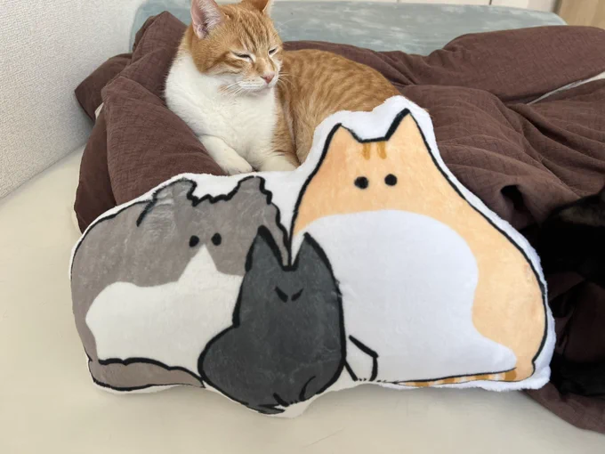 おぉーう!おうおうおうおう!なるほどですね!! 