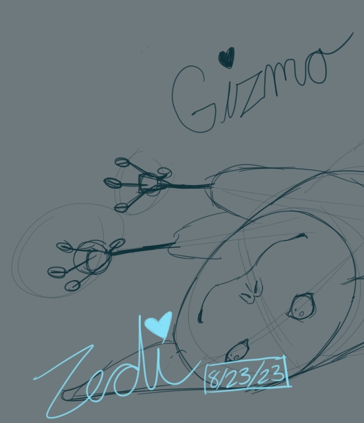 ZediVT tweet picture