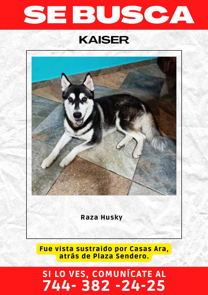 Ayudemos compartiendo la publicación para que pronto #KAISER regrese a casa. ⚠️🐶