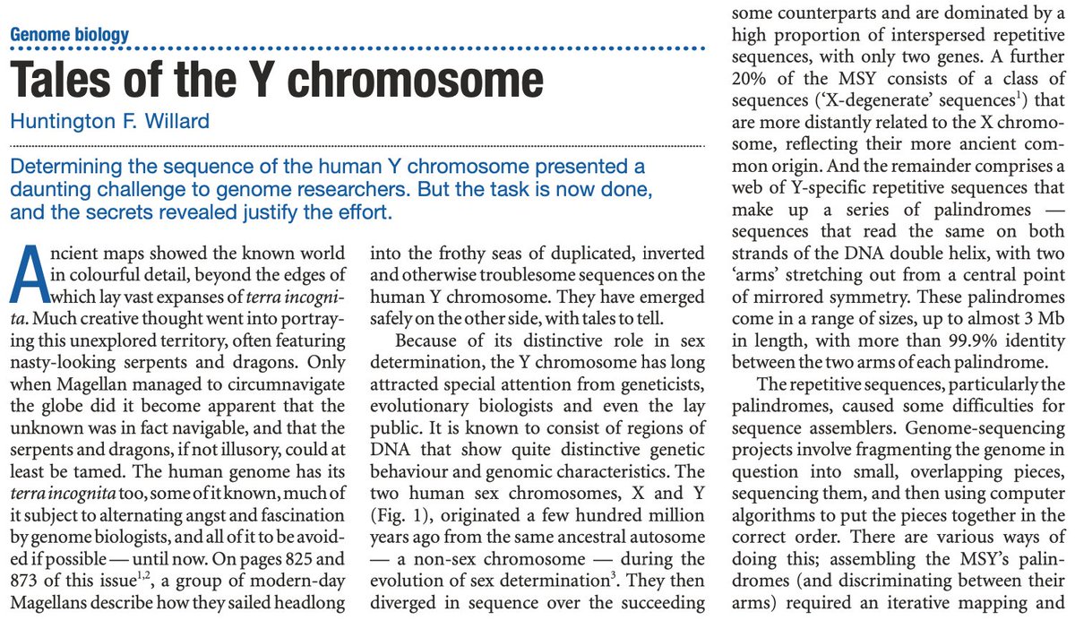 Successful completion of sequencing the Y chromosome in its entirety (~62.5 million base pairs) might be the most impressive achievement by the genomics field to date. It's a nightmare to assemble those massively duplicated regions and sequences that are mirror images of…