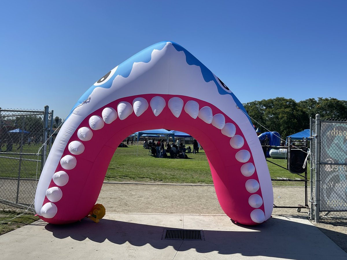 VIDA (6-8 Magnet) tweet media