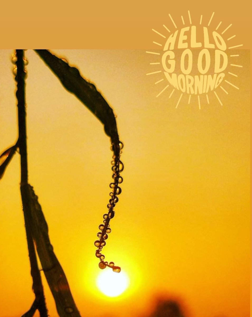 devskool's tweet photo. Good morning ๐
#Mobile #photography
#DEVSKOOL #HISAR #HARYANA
#indianphotography #nature #explore #india #mi #mobilephotography #art #colorful #love #naturalphotography #insta #morning #photography #walk #urban #devskool #dk #deven #drops https://t.co/39TOe1mrwT