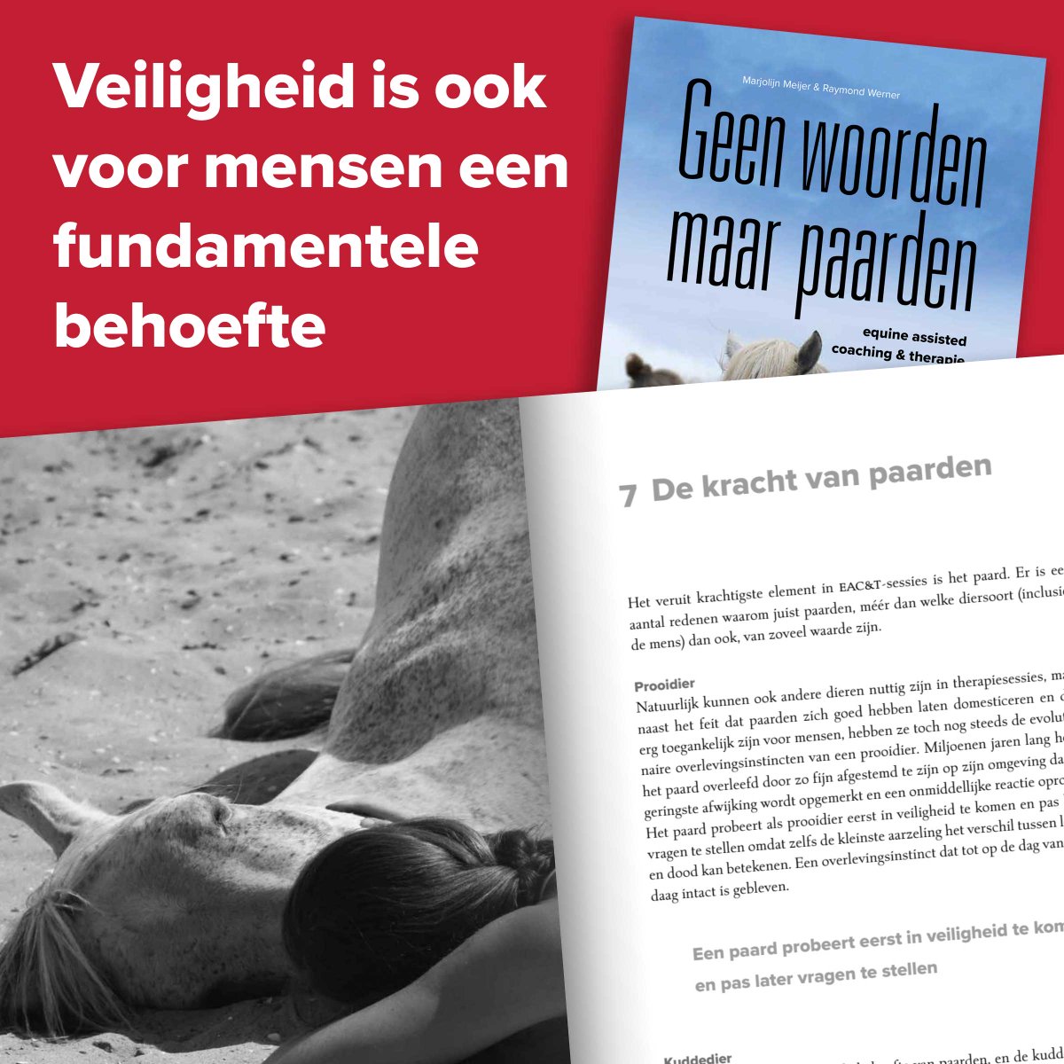 Keulseweg's tweet photo. Veiligheid is niet alleen voor een prooidier, maar ook voor mensen een fundamentele behoefte

Veel meer hierover lees je in ons nieuwe boek, bekijk vast een paar bladzijden:
https://t.co/7DxRIekqR8 https://t.co/NNE26qy7aF