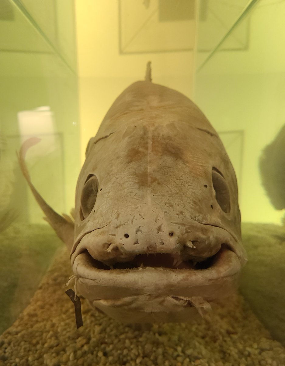 Amanda Hay tweet media