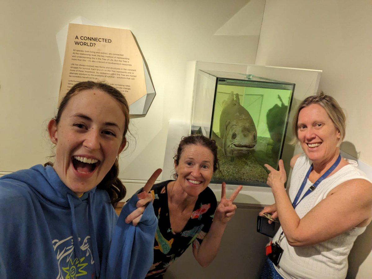 Amanda Hay tweet media