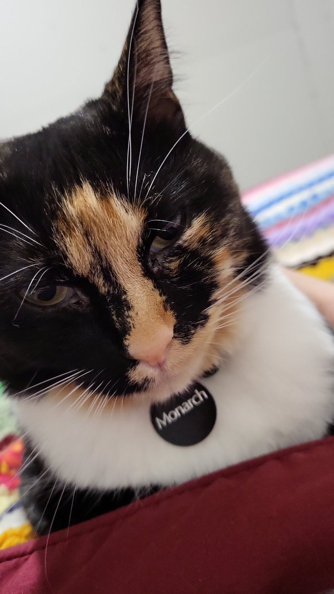 Judith Duthie / Calgary Book Nerd tweet media