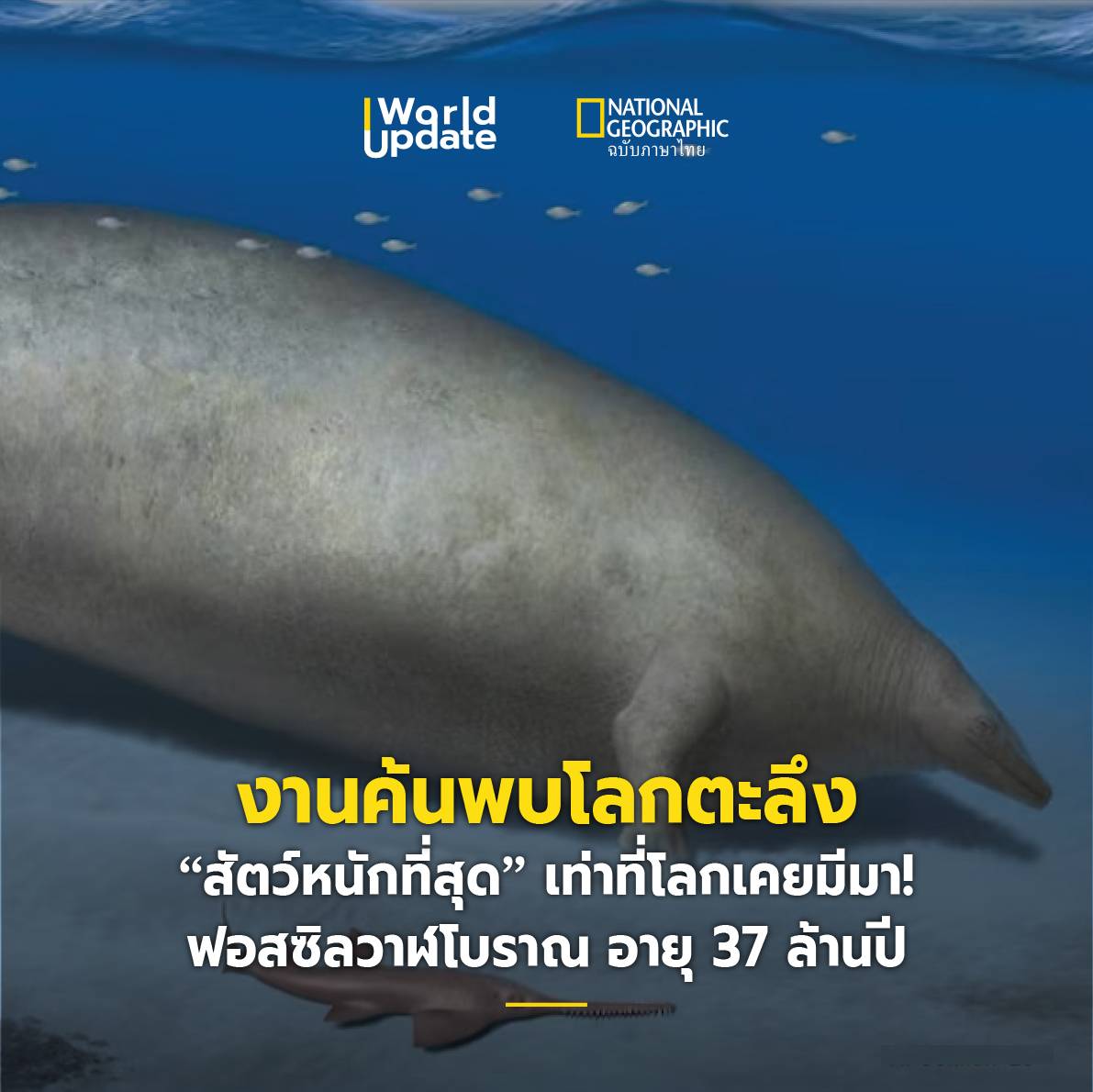 NatGeoMagTH's tweet photo. วาฬสีน้ำเงินครองตำแหน่งสัตว์ใหญ่ที่สุดตลอดกาลมาอย่างยาวนาน จากความยาวที่มีได้มากกว่า 30 เมตร และน้ำหนักกว่า 200 ตัน

อ่านเพิ่มเติม https://t.co/urUGHTgbg8

#วาฬสีน้ำเงิน #วาฬ #ทะเล https://t.co/1Z8x8NViFQ