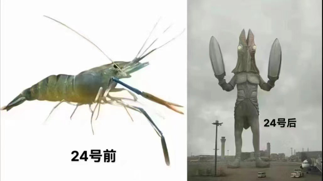 Jerry16868's tweet photo. 日本排核污水！没人阻止吗？已在排了！ https://t.co/cvuRvaE40K
