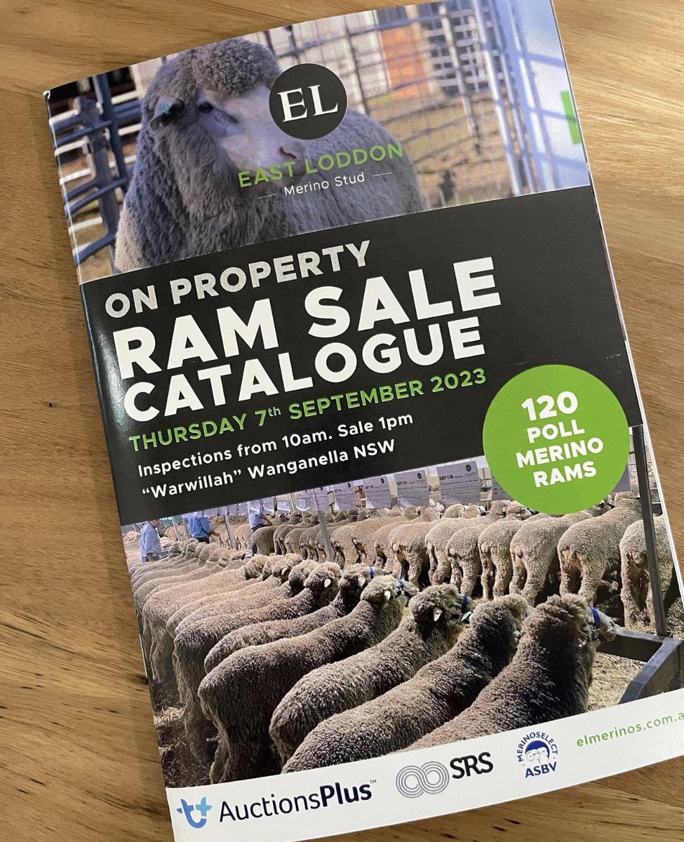 MarcusHooke1's tweet photo. Our 2023 sale catalogue is ready for your viewing.
On our website 
https://t.co/48bkaECRVL
Sheep Genetics 
https://t.co/aNfpuwhbZE
And in the post for those on our mailing list.
Let us know if you would also like a hard copy posted out https://t.co/W2SYJiWDBl