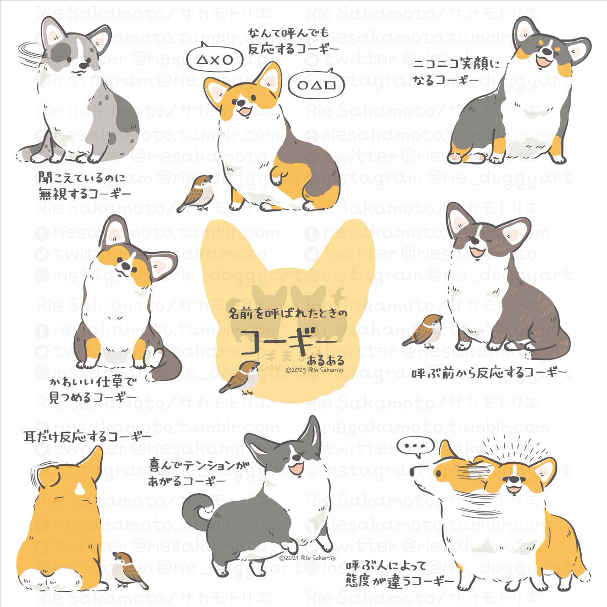 National Dog Day 犬の日のコーギーあるある
#NationalDogDay #犬の日 