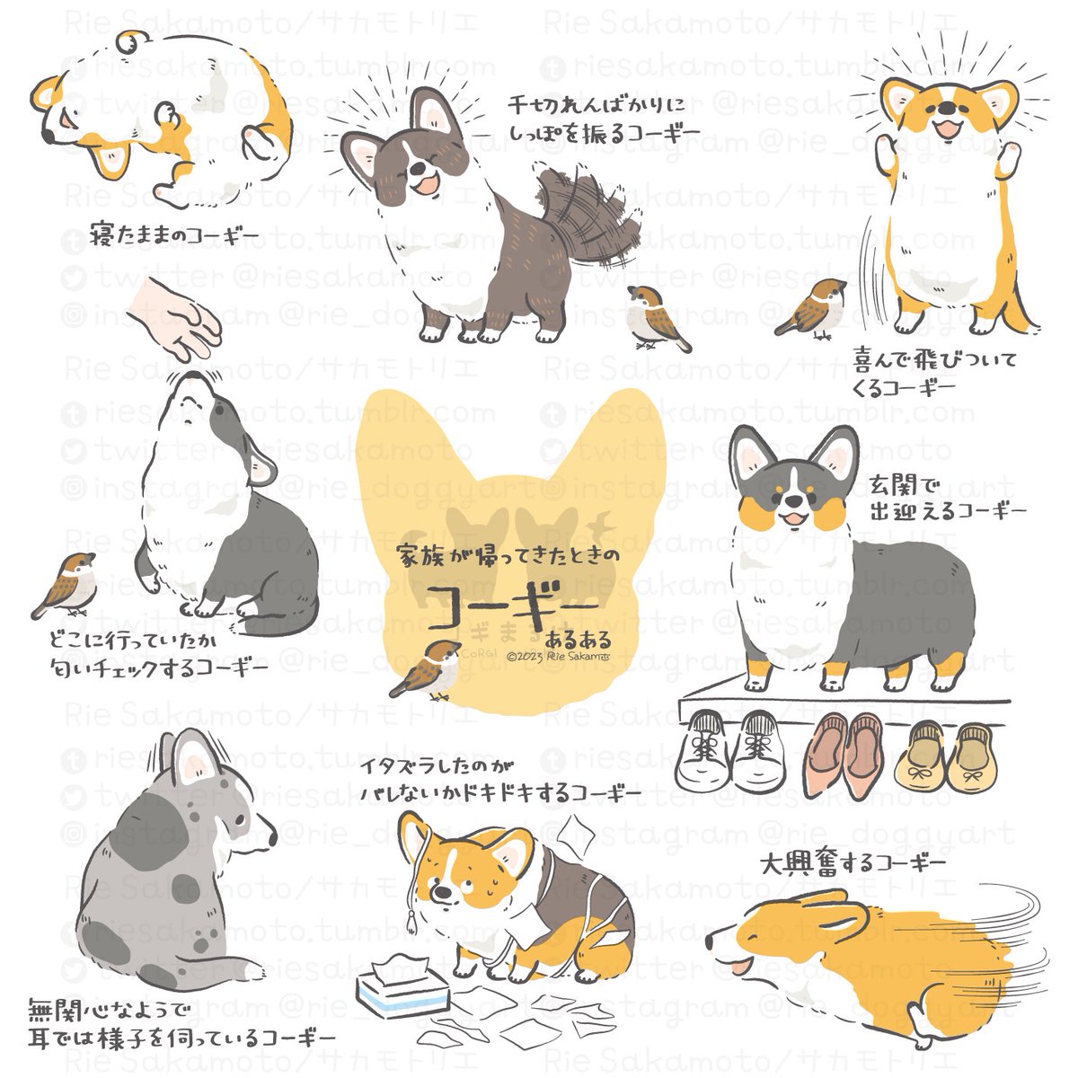 National Dog Day 犬の日のコーギーあるある
#NationalDogDay #犬の日 