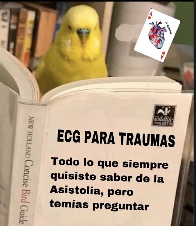 DAsdehis's tweet photo. Pregunte sin compromiso…🤣🫀⚡️1/2 https://t.co/fjMvJ4ysyv