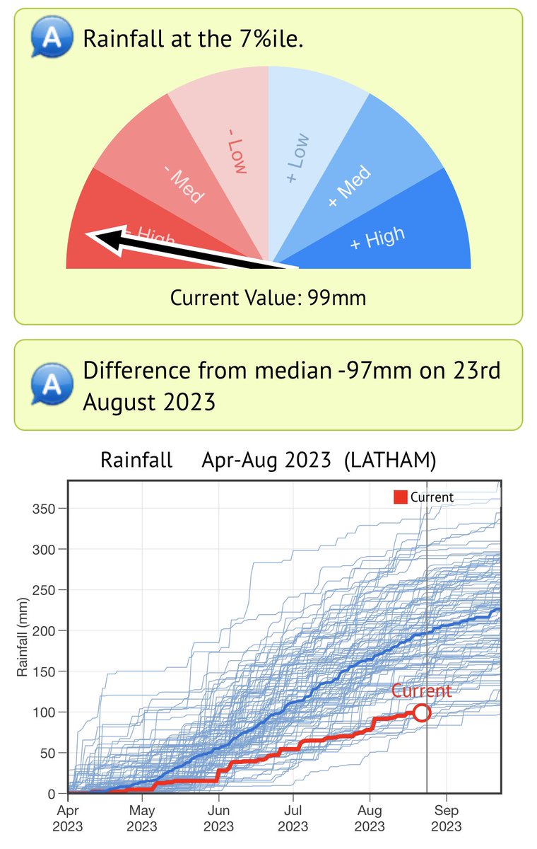 Dylan Hirsch tweet media