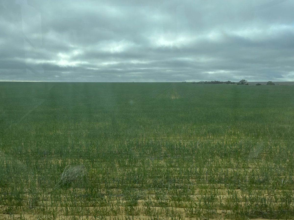 Dylan Hirsch tweet media