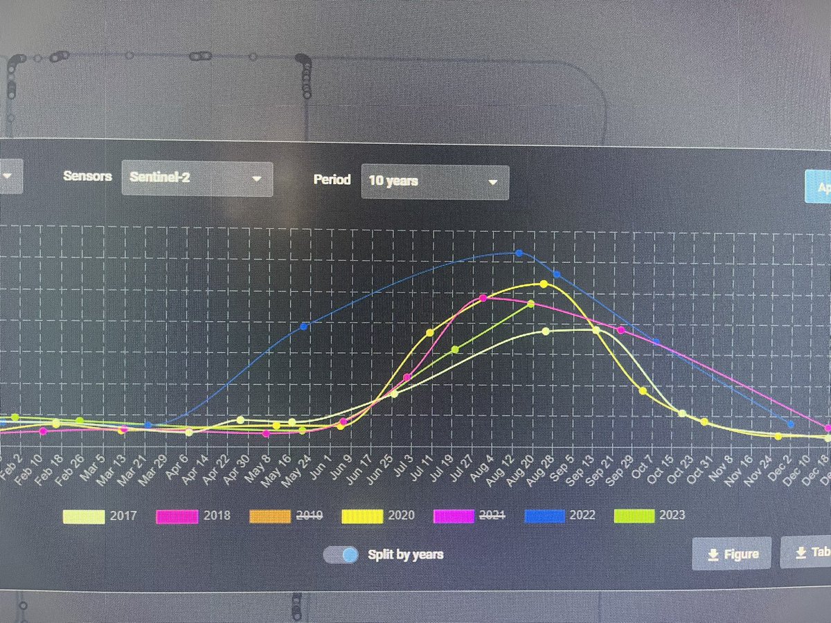 Dylan Hirsch tweet media