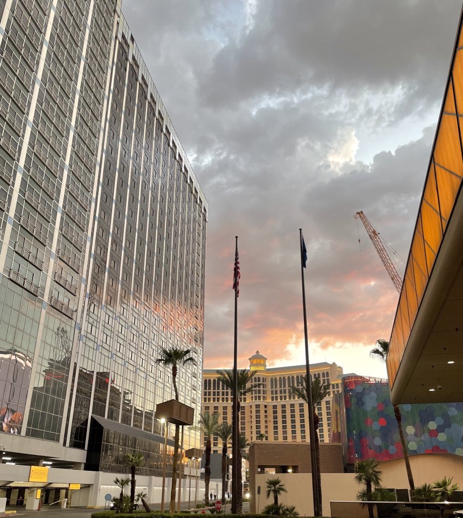 nimrajaved28's tweet photo. yaad-e-jana se koi shaam na khali jae / Las Vegas, Nevada https://t.co/XnW4OICoNL