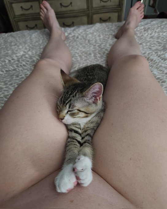 Well, not sure what to say other than, at least something likes being between my legs https://t.co/1<a href="/tag/sexy"class="tags"><span>#sexy</span></a><a href="/tag/hot"class="tags"><span>#hot</span></a><a href="/tag/nude"class="tags"><span>#nude</span></a><a href="/tag/naughty"class="tags"><span>#naughty</span></a><a href="/tag/desire"class="tags"><span>#desire</span></a><a href="/tag/xxx"class="tags"><span>#xxx</span></a><a href="/tag/milf"class="tags"><span>#milf</span></a><a href="/tag/dirtygirl"class="tags"><span>#dirtygirl</span></a>