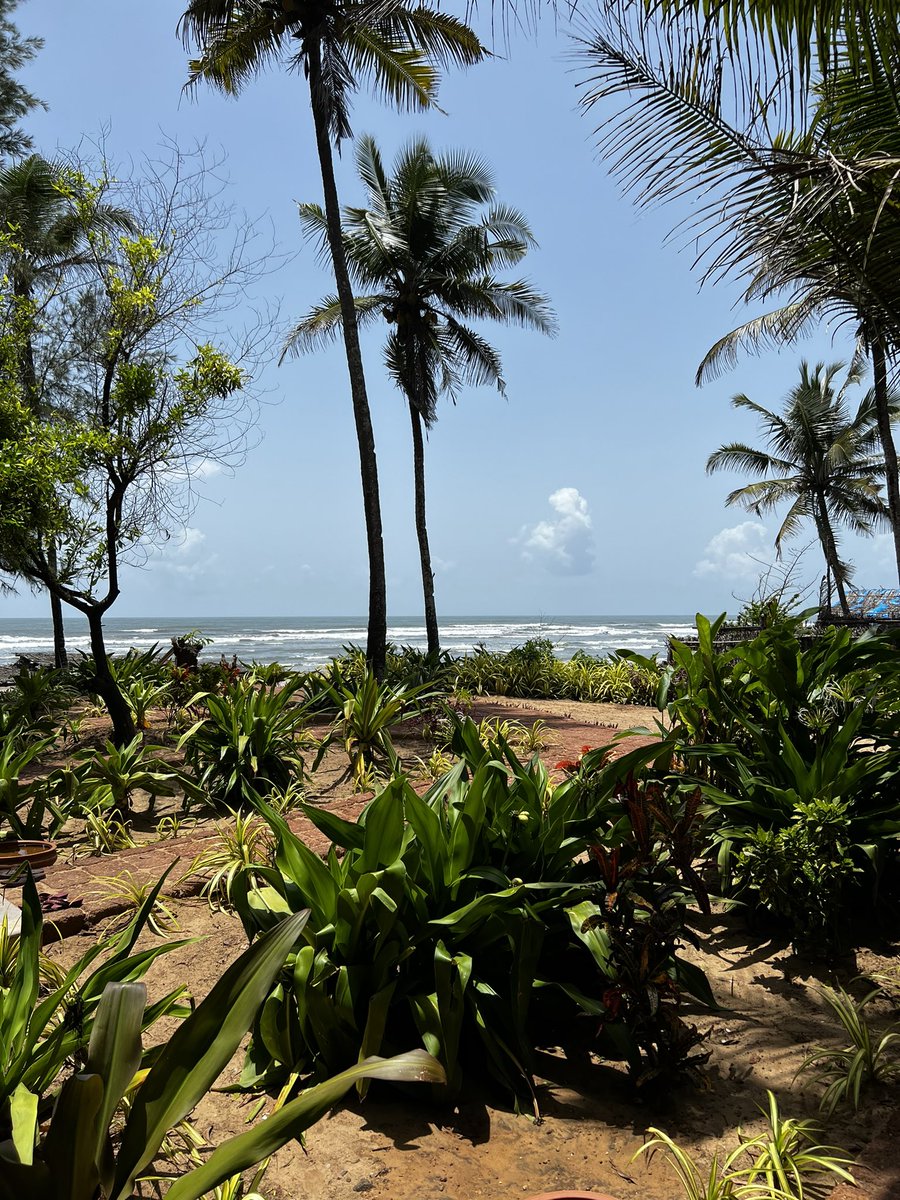 Shadaab Kadri tweet media