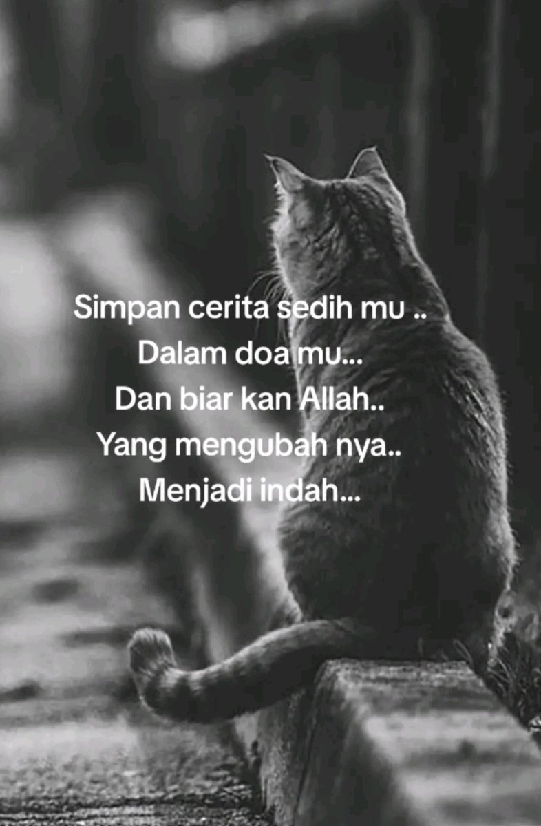 Jingga_Aurora86's tweet photo. Hidup ini akan terus berlanjut baik engkau tertawa ataupun menangis sampai titik garis finish

Kamis terlalu manis untuk
menangis
Walau asa telah menepis Namun rindu tak pernah Terkikis menyambut harapan kian berlapis

Sabar ya dirikuh...
Yakinlah akan ada pelangi setelah hujan
. https://t.co/h3vxNgwDMY