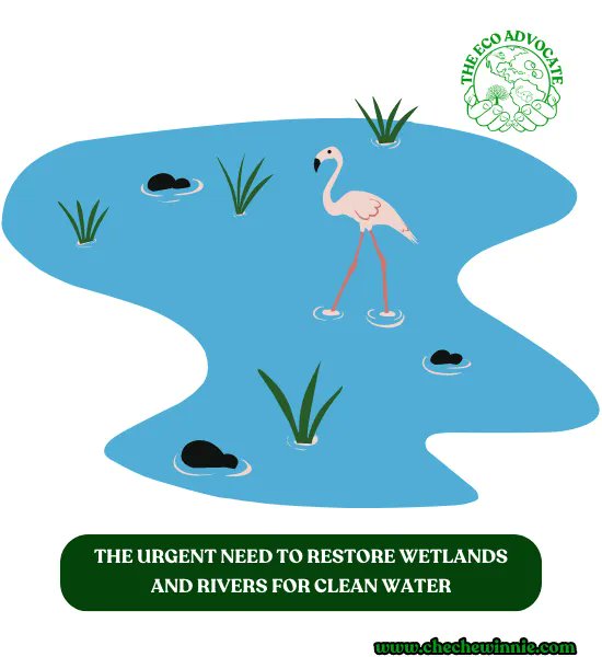 WinnieCheche's tweet photo. The Call to Action

Collaboration between governments, communities, NGOs, and experts is absolutely crucial. By combining our resources, knowledge, and expertise, we can achieve remarkable and lasting results.

https://t.co/lzn19BGEPy https://t.co/DSImkAqiIZ