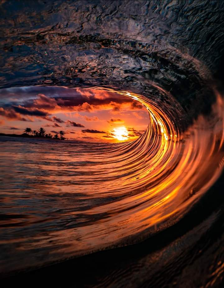 Sunrise curl 

Oahu, Hawaii 📍

#ocean #oceanwaves #surf #sunriseoftheday #sunrise #oceanphotography #hawaii #oahu