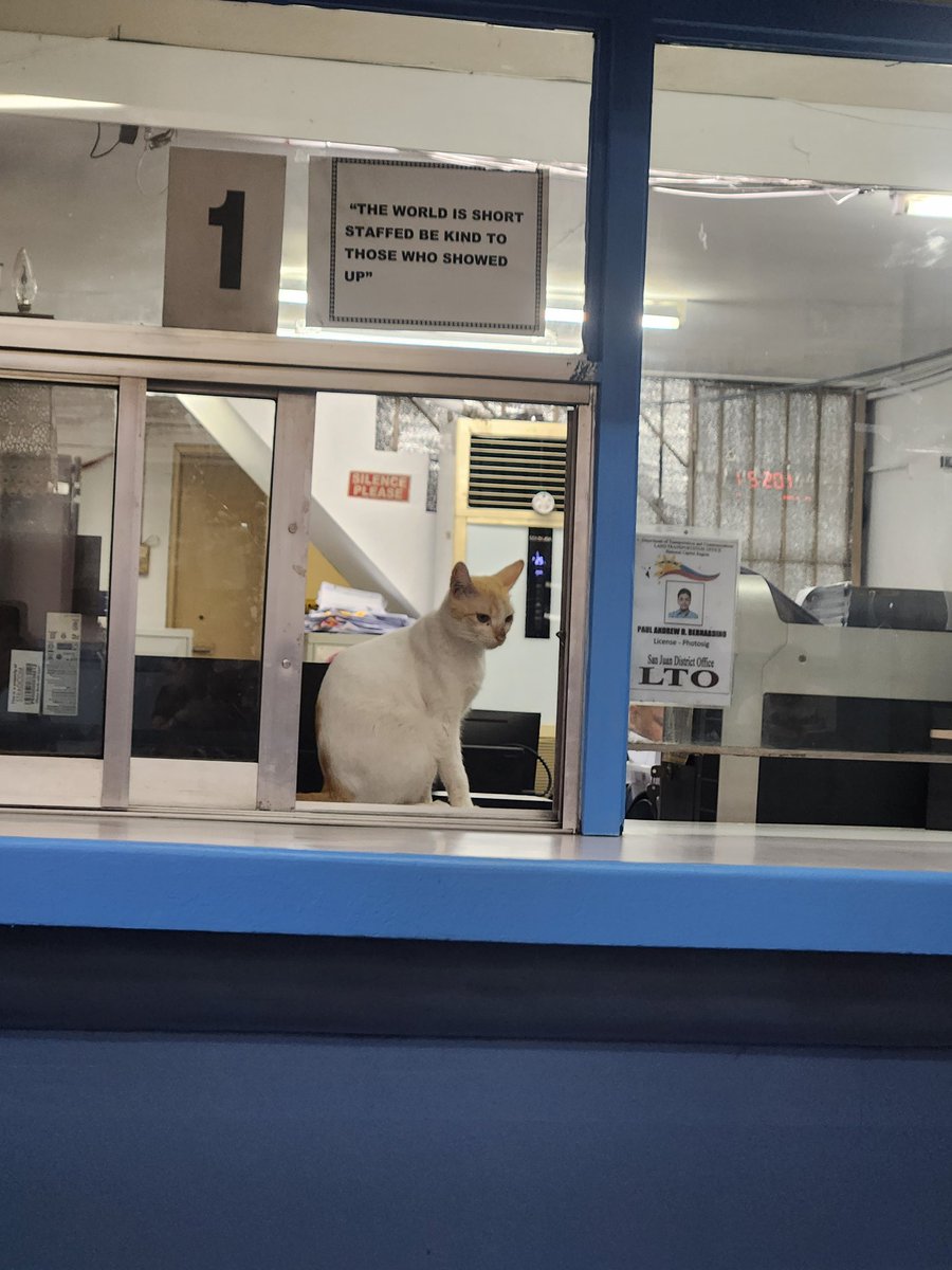 My Astec tweet media