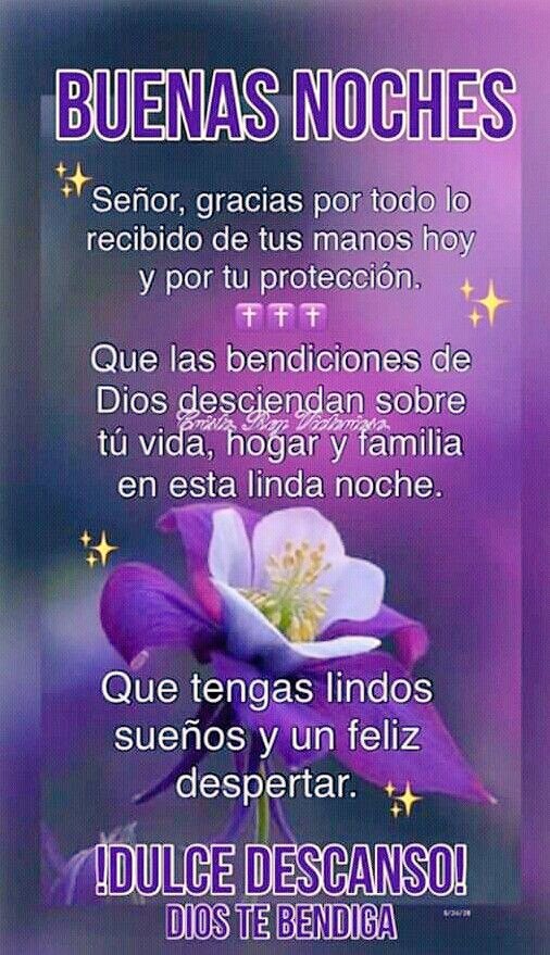 Qué tengas una lluvia 🌨️ de bendiciones 🙏🏻 en éste linda noche ✨🌜✨, qué Dios 🙏🏻 quedé contigo 🙏🏻