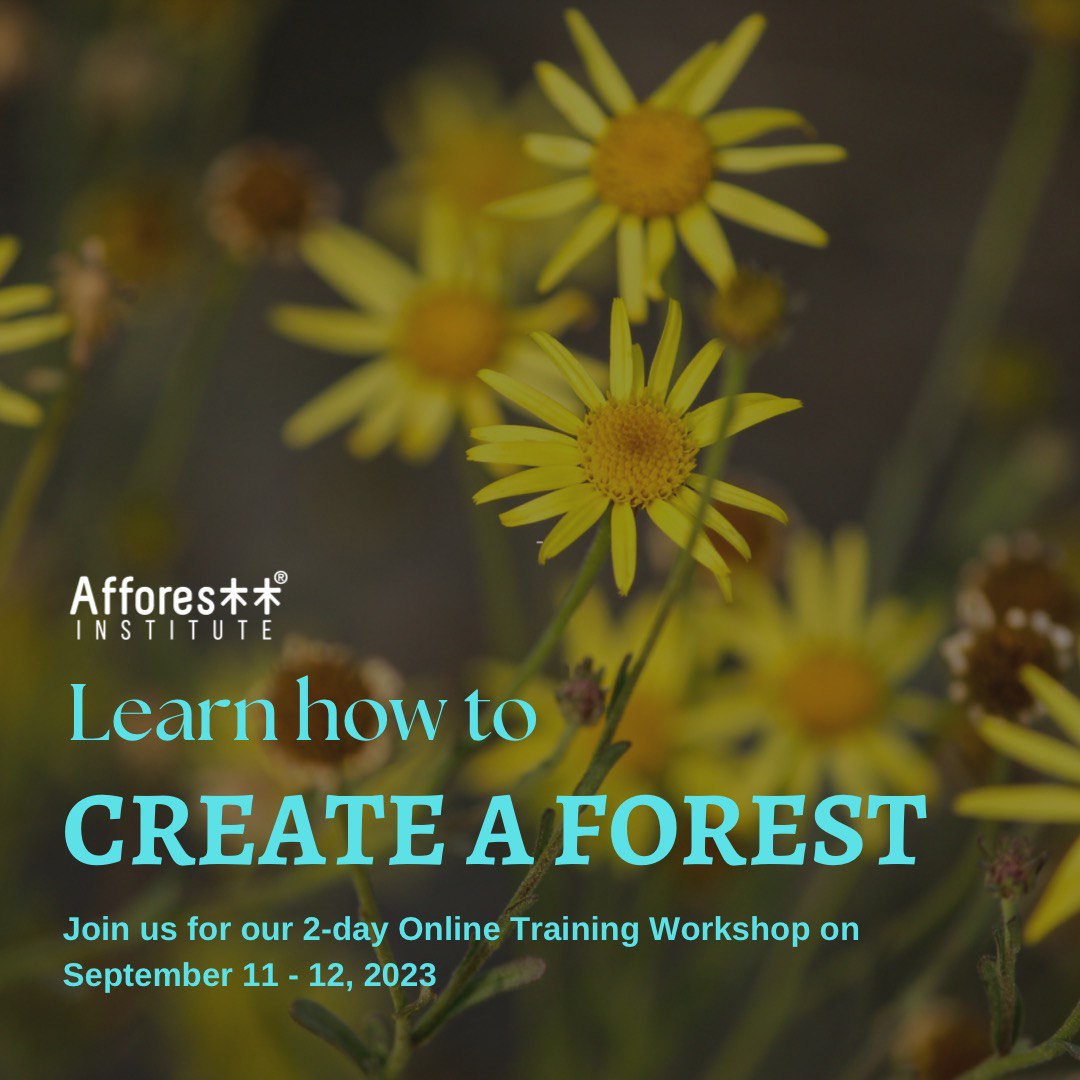 Join us for our 2-day Online Training workshop on 11th- 12th September, 2023 (6 AM to 10 AM, IST) With a focus on adapting the Miyawaki methodology of afforestation Fee:- INR 35,000/USD 500 Do write to us with the statement of intent on training@afforestt.com. #onlinetraining