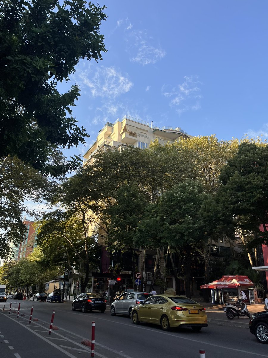 GM 𝕏 champions!🏆

Every effort today is a building block for a better tomorrow.

Embrace growth!
🤍🧠📚