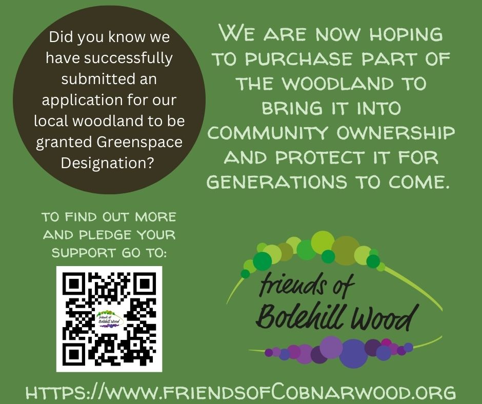 PART OF BOLEHILL WOODS FOR SALE.

3.8a of our cherished wood has come up for sale.

This is a once in a generation opportunity to bring part of the woods into community ownership.

BUT we need to move fast and we need community help... If you can help see details below 👇