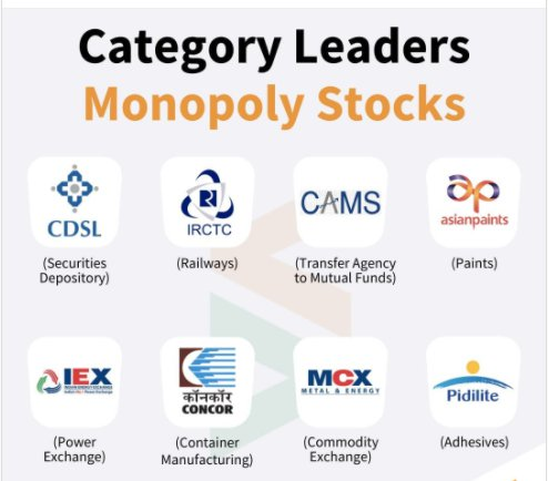 Few Dominant/Monopoly Companies

IRCTC: 100% Ticketing 
HAL: 100% Defence Mfg
Nestle: 96.5% in Cerelac 
IEX: 92% in Short term Electricity Contracts
Coal India: 82% Coal Production 
Hind Zinc: 78% in Zinc
ITC: 77% in Cigarettes
Marico: 73% in  Hair OIL 
CAMS: 70% in MF Industry