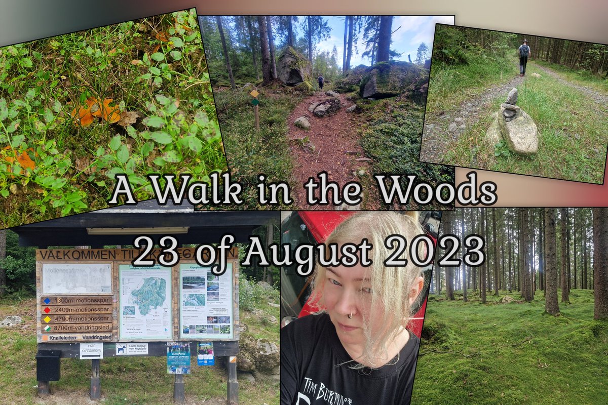 A Walk in the Woods...

youtu.be/SQSSGdZAmQo?si…

#walkinthewoods #woods #forrest #walk #nature #Kypegården #Borås #Sweden #youtuber_sanniz