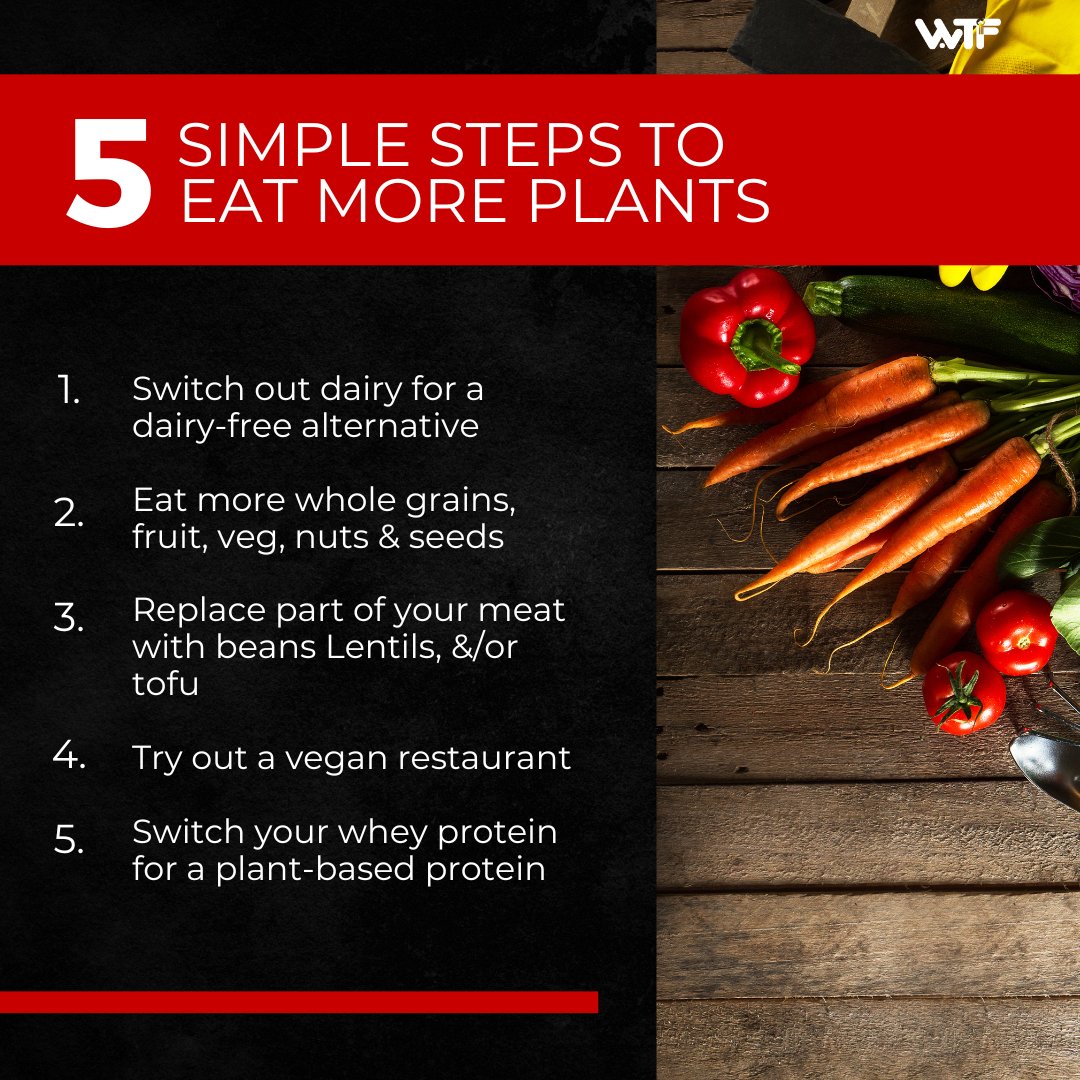 wtf_gyms's tweet photo. 5 Simple steps to eat more plant based food #WTF #fitness https://t.co/8QRROfza04