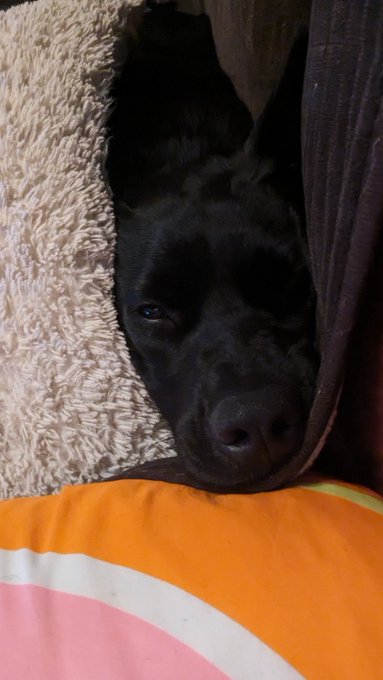 Goodnight Sleep tight https://t.co/6v5wVKyPzx