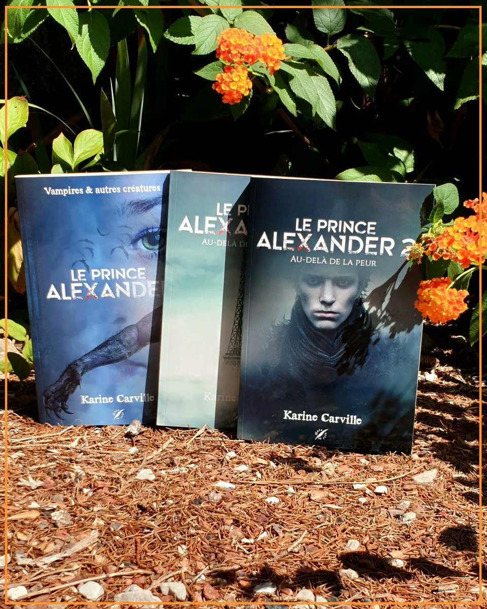 FranzoPizarro's tweet photo. 📚 Prochaine lecture : Le Prince Alexander - Karine Carville 🧛♂️
Hâte de me plonger dans cet univers 👀❤
L'avez-vous déjà lu ?
#leprincealexander #bitlit #bitlitaddict #autoedition #vampire #loupgarou #karinecarville #roman https://t.co/YBoW0aPk4u