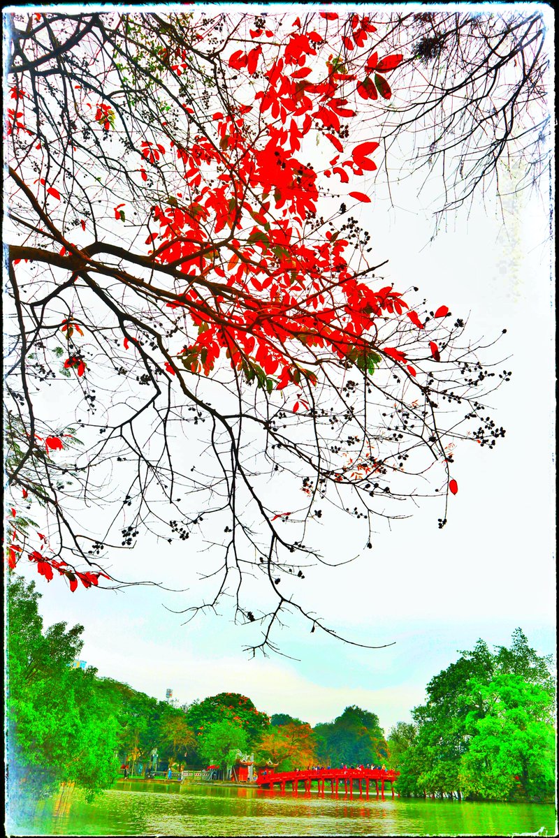 Have a nice day 🩷 #photo #photography #Hanoi #landscapephotography #bloganh #vietnam