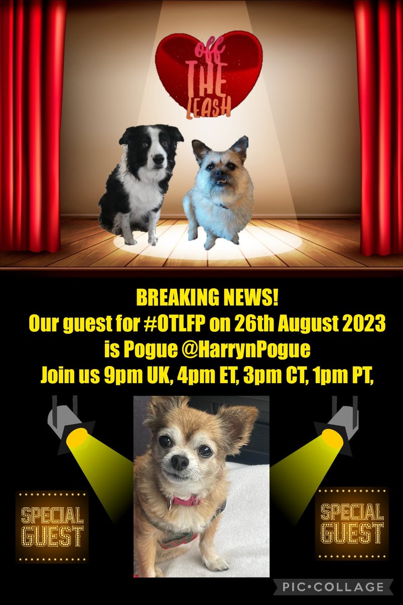 OffTheLeashFP's tweet photo. 📌 Join us this Sat (Aug 26) for #OTLFP, a Twitter chat about #pets, by pets!

Guest:  Pogue @HarrynPogue

Hosts:  @Pixie_Tooth &amp; @MillieOTLFP

Starts at 4pm ET, 3pm CT, 2pm MT, 1pm PT, 9pm UK
 
All are welcome. Just search &amp; follow #OTLFP! https://t.co/oXWk6ew8n7