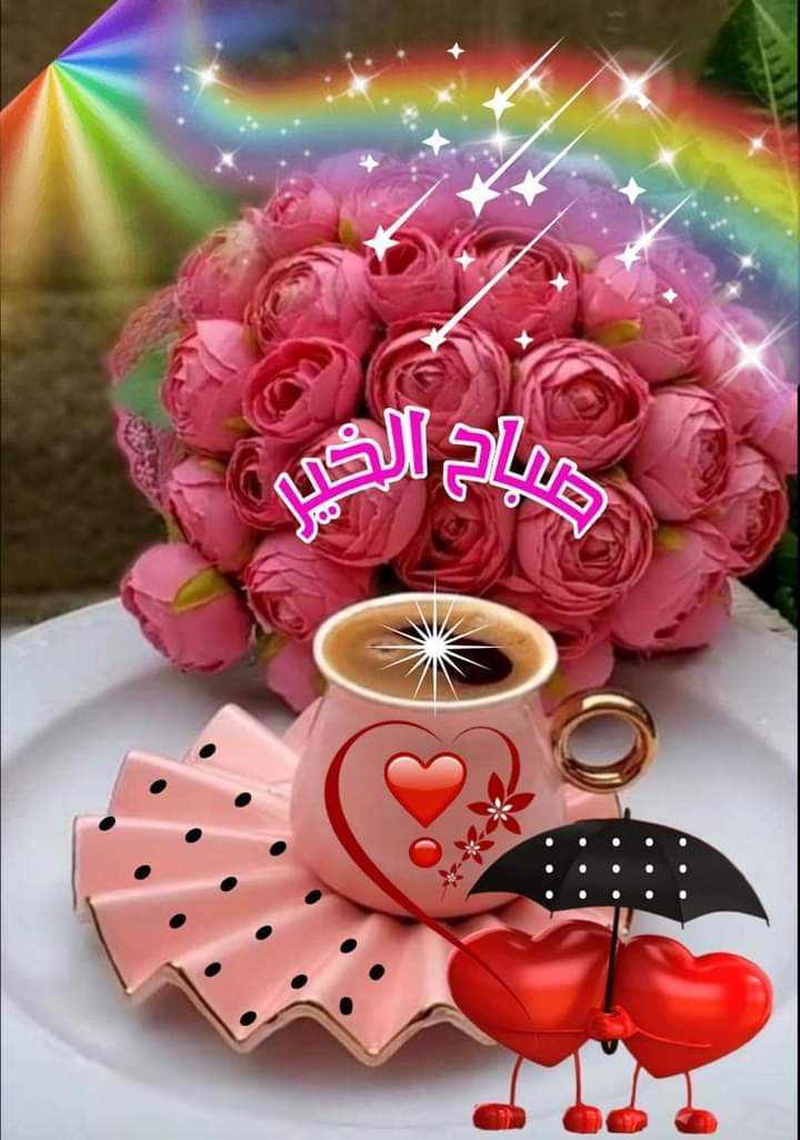 ابو احمد tweet media