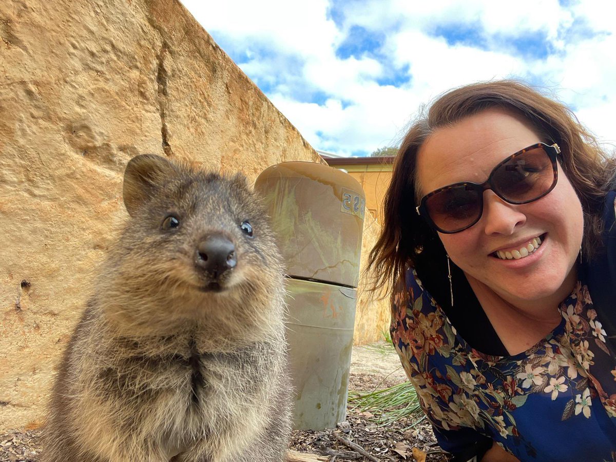 How cute is this Quokka 😍 It was mates at first sight with our NZ High Commission political counsellor Georgina attending to some serious trans-Tasman diplomacy on Rottnest Island. #cuteanimaldiplomacy