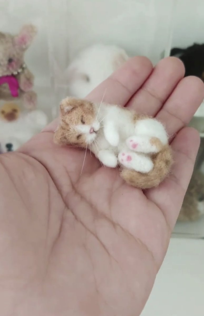 elijahwilson877's tweet photo. Mini Needle felting cat 📷 https://t.co/NIQumOsbg4