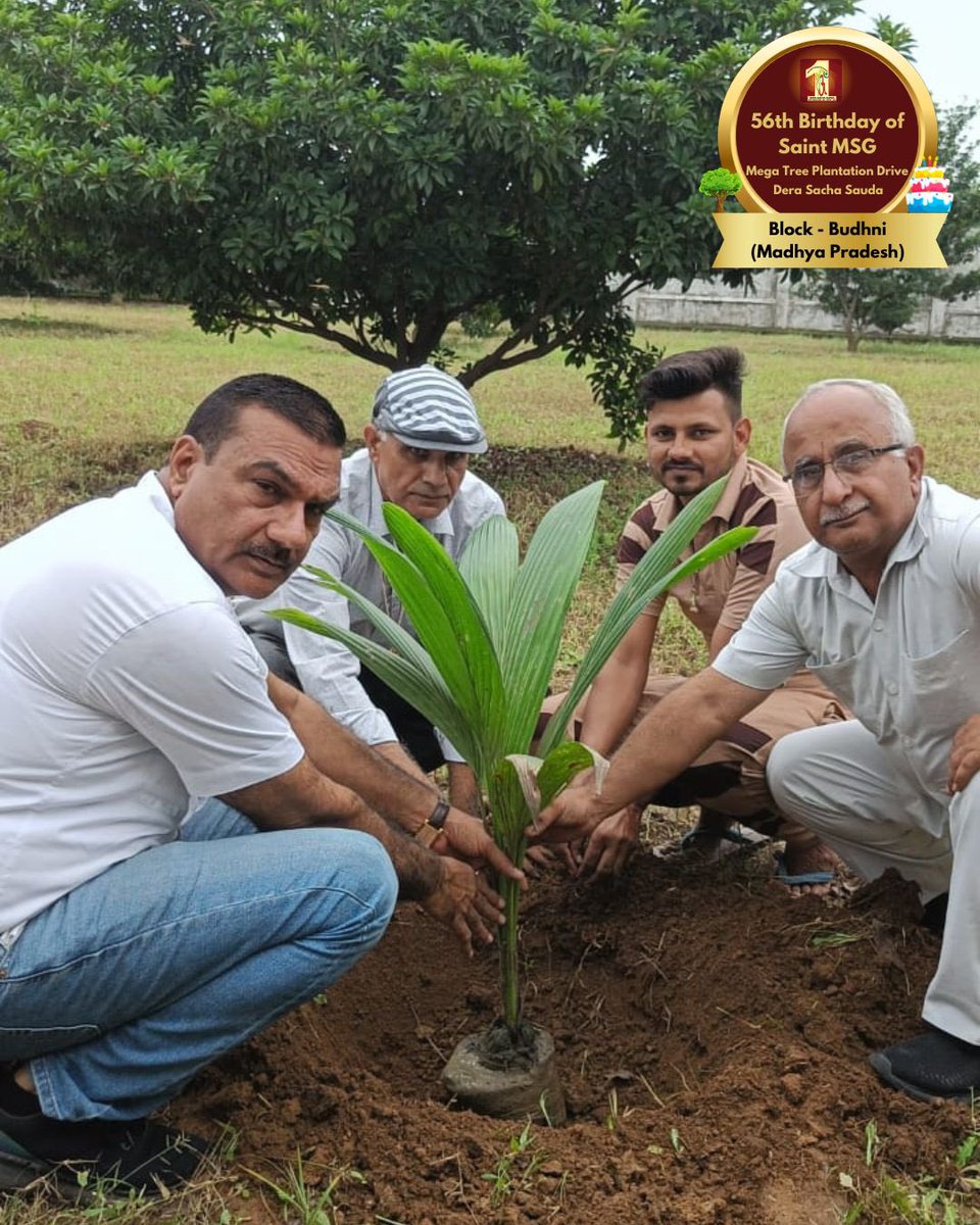 DSSNewsUpdates's tweet photo. Dera Sacha Sauda volunteers ensuring every year of their beloved Spiritual Master is celebrated with nature. Tree Plantation by dedicated volunteers from Budhni, MP on the occasion of Saint Dr. MSG's Birthday. #56thBirthday #SaintDrMSG #DeraSachaSauda #TreePlantation https://t.co/8NcrLkDcab
