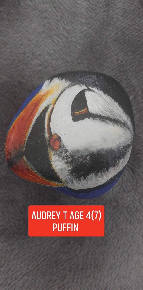 HomeFarmScalby's tweet photo. This artwork is awesome!
Painted by Audrey who stayed with us recently and inspired by the puffins at bempton cliffs #thursdaymorning #paintedpebbles https://t.co/OEFdpjHNKy