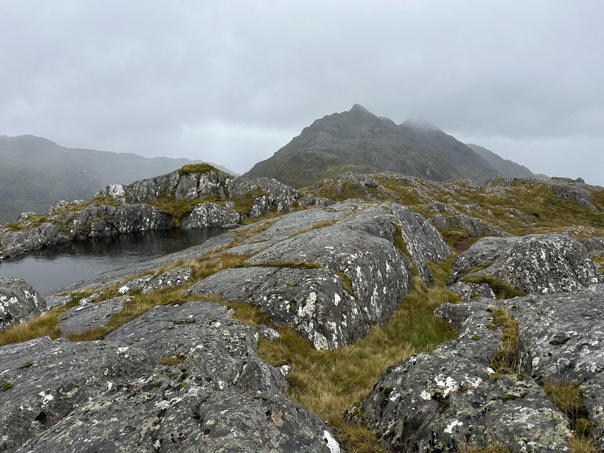 Ilona Turnbull tweet media