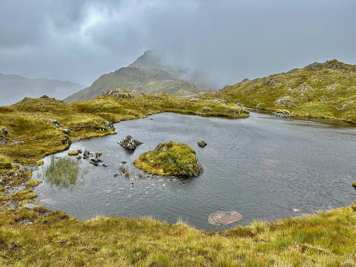 Ilona Turnbull tweet media